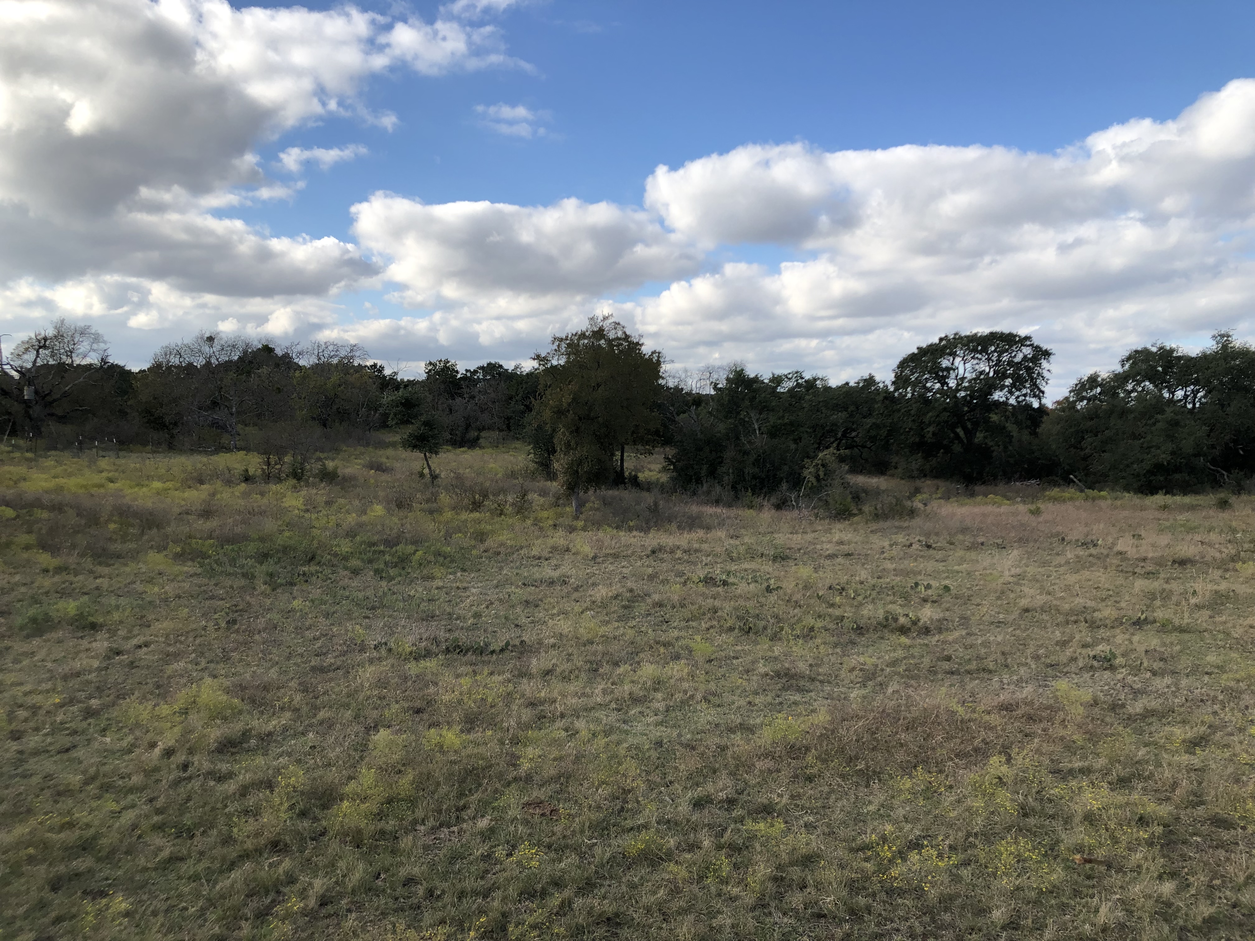 0F497711-581D-467B-8023-E0B57485D110.jpeg