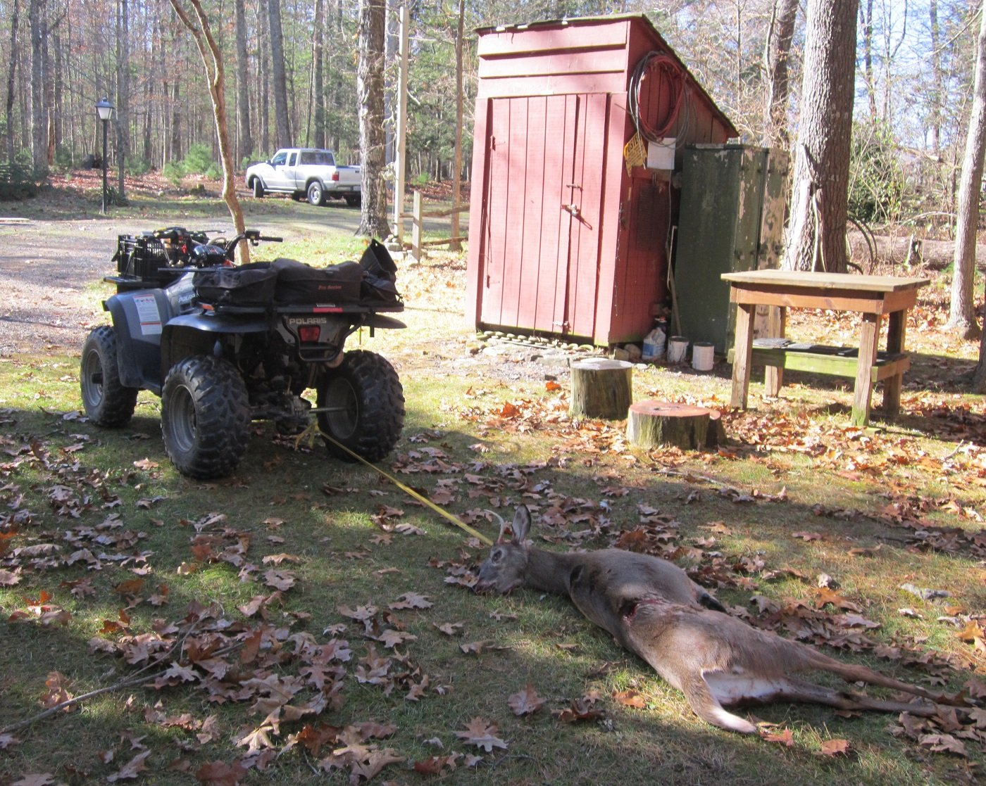 #1 field dressed.JPG