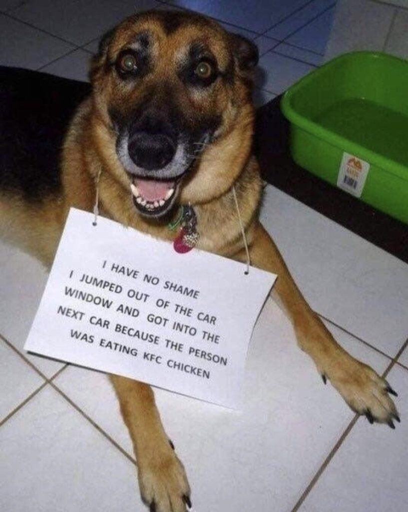 1000002678.jpg