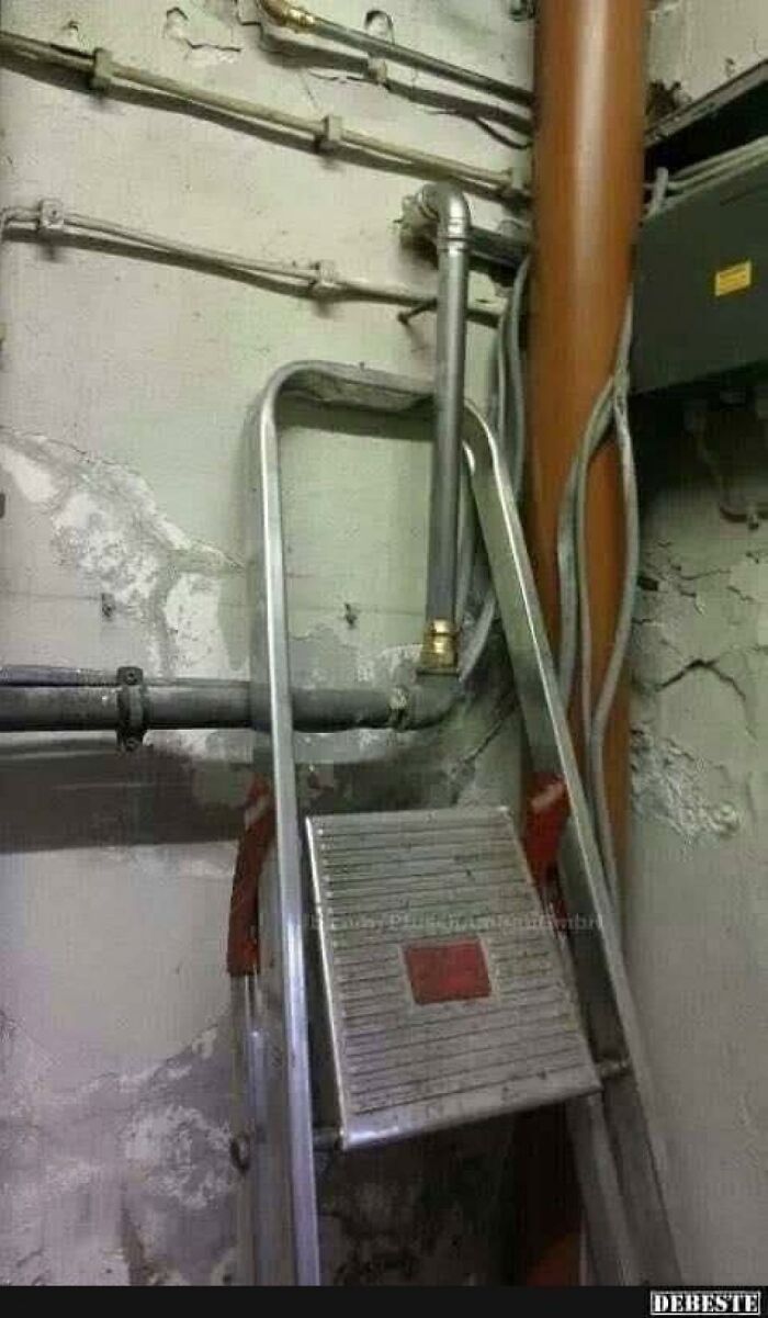 1000003075.jpg