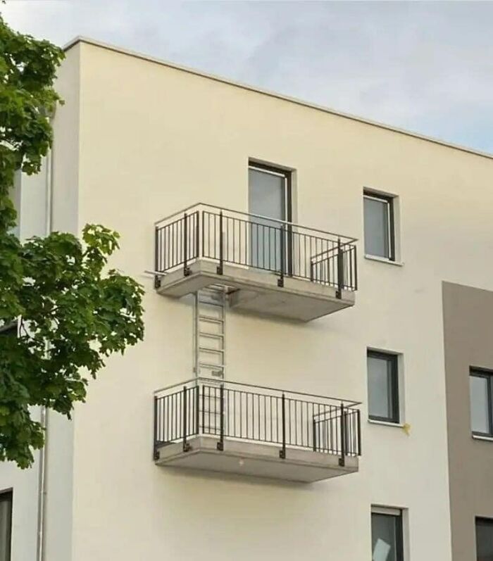 1000003081.jpg