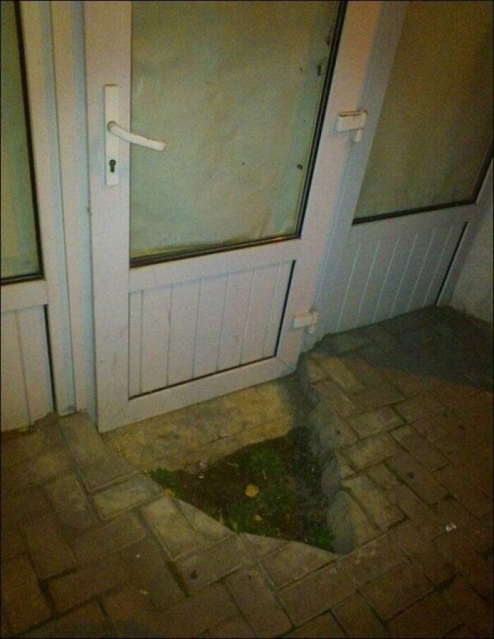 1000003083.jpg