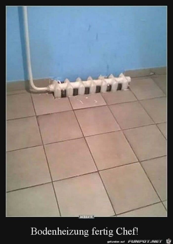 1000003084.jpg