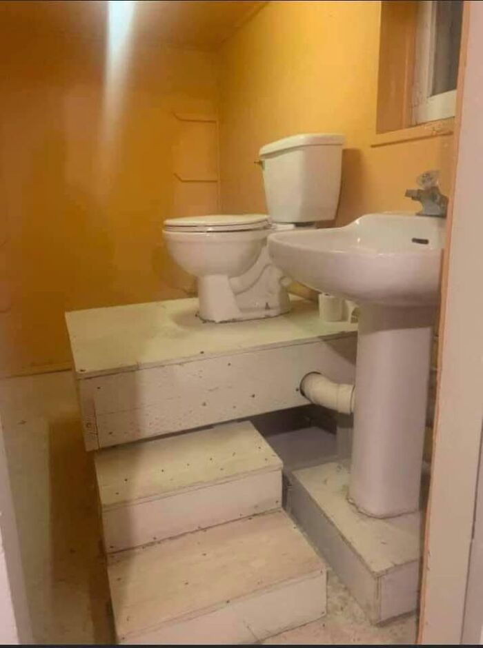 1000003095.jpg