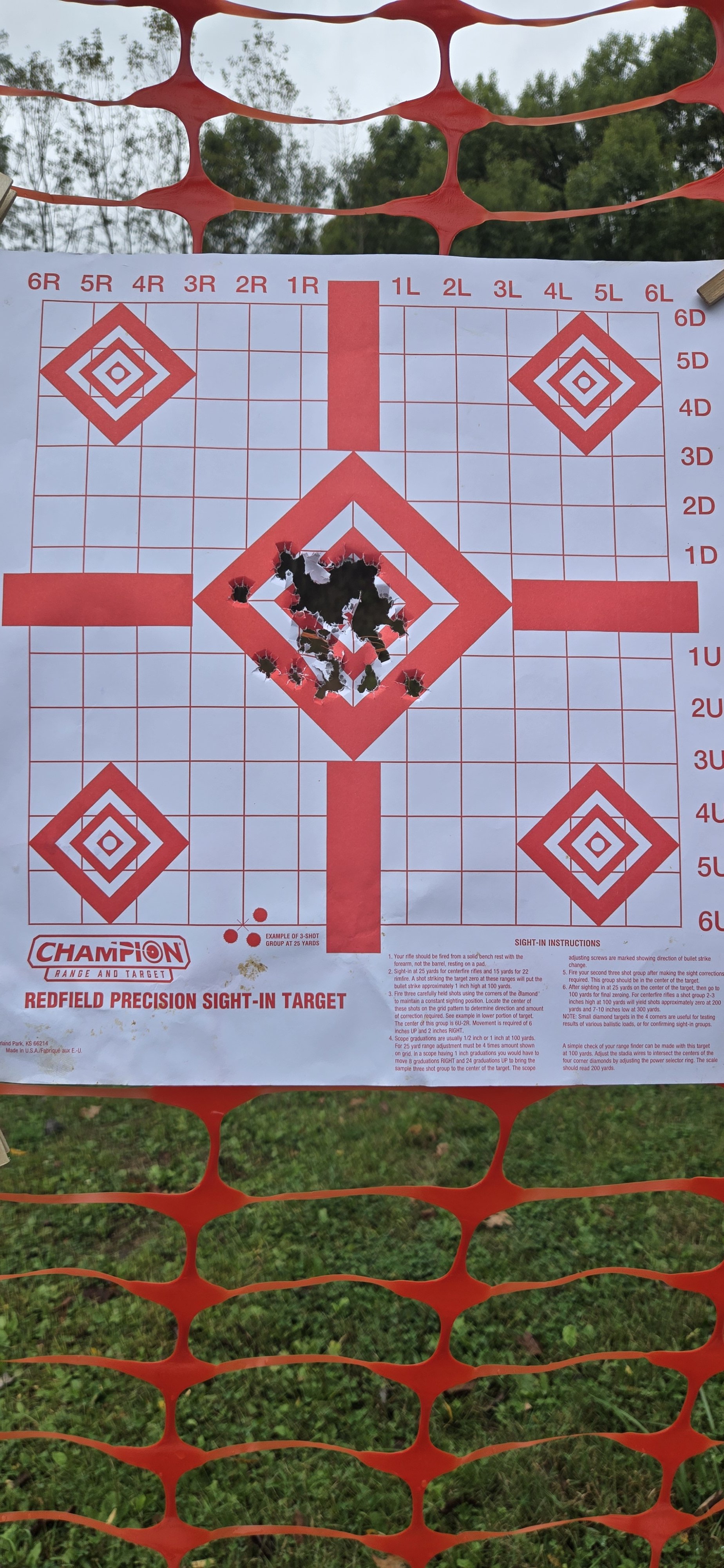 1000013305.jpg