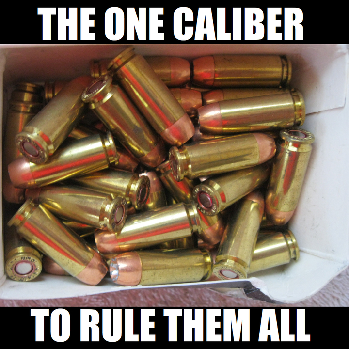 10MM The One Caliber.png