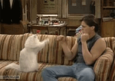 1583790046104.gif