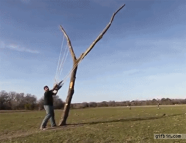 1584739208007.gif