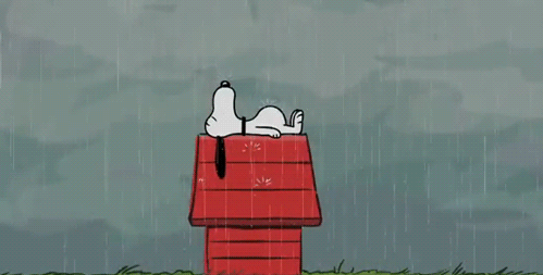 1587764733146.gif