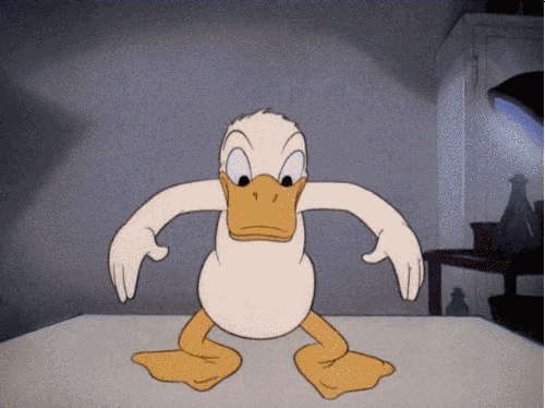 1587914584255-gif.4995