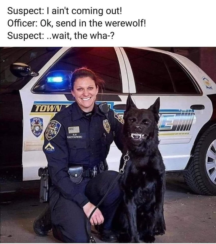 1588065688258.png