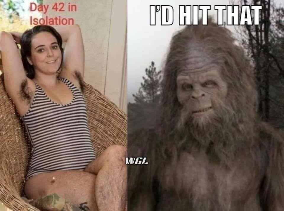 1588066216730.png