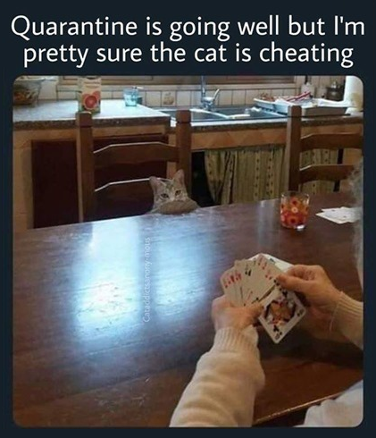 1588069741088.png