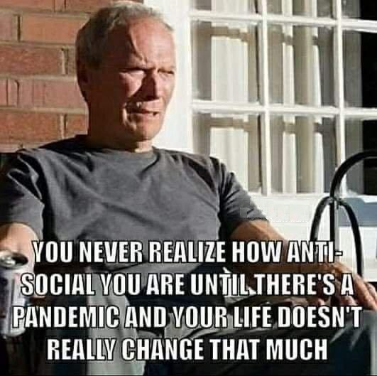 1588377078509.png