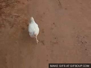 1588552600733.gif