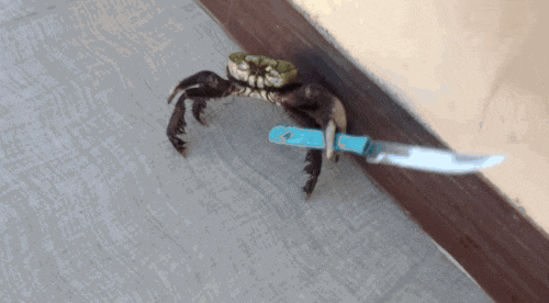 1588902396780.gif
