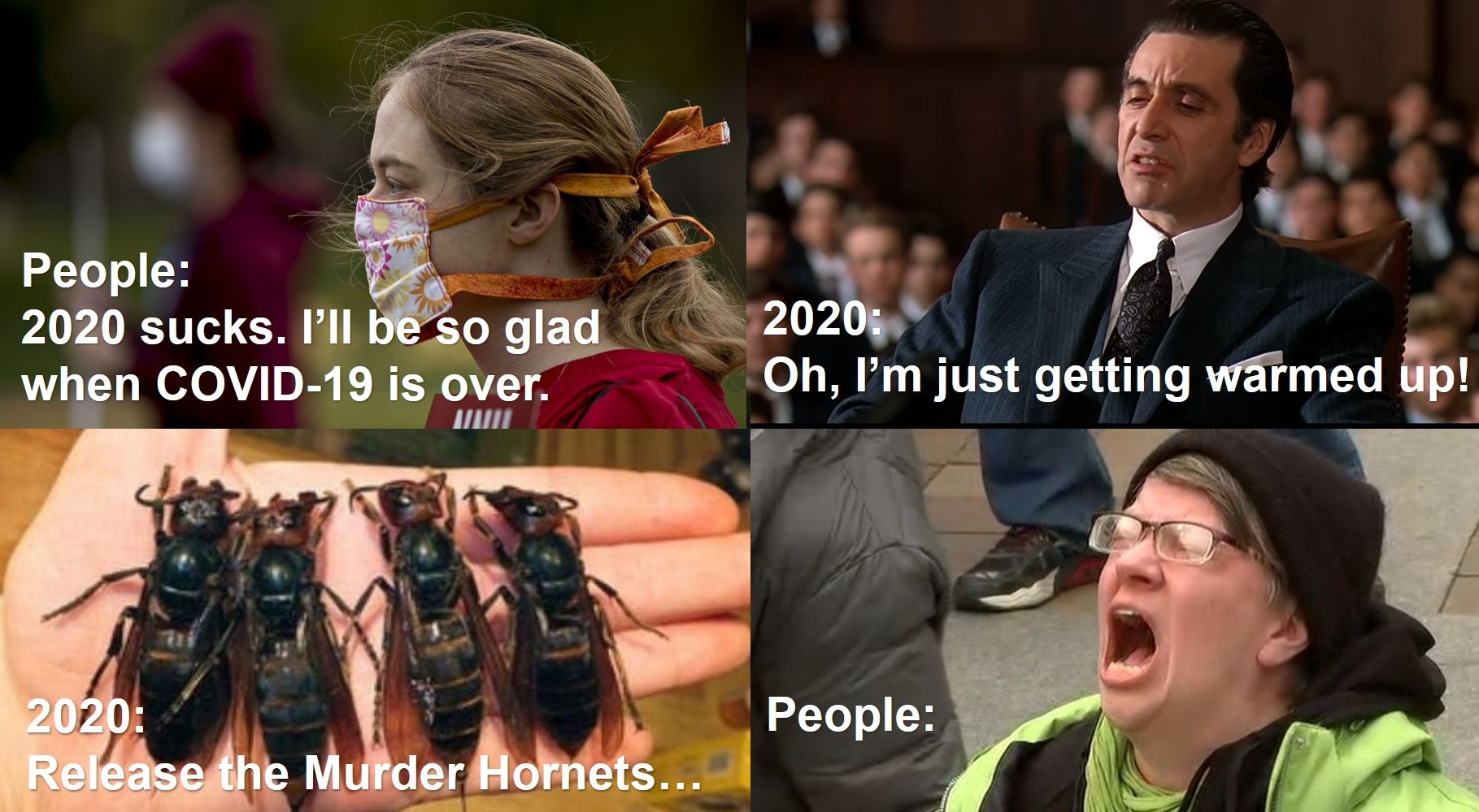1589190023687.png
