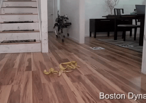 1589223628170.gif