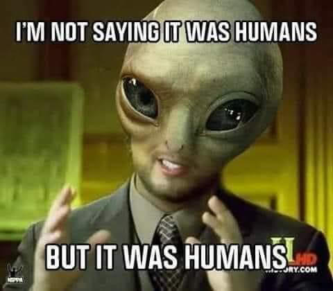 1589349439577.png