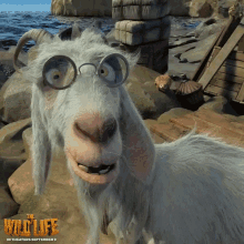 1590362005251.gif