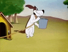 1591500306527.gif