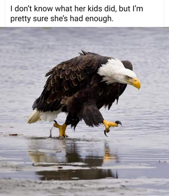 1591541866895.png