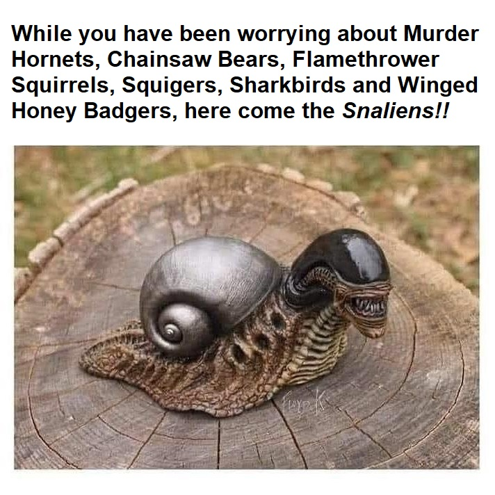 1591617966935.png