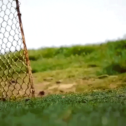 1595028693949.gif