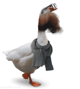 1595289449065.gif