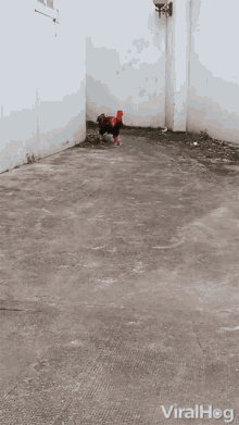 1595289560402.gif