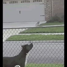 1595292220744.gif