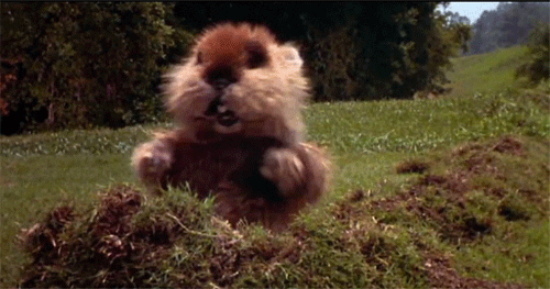 1595970357803.gif