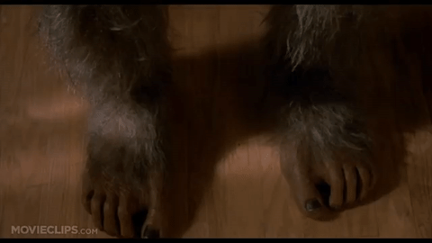 1596383378570.gif