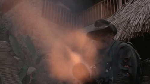 1596429034021.gif