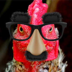 1596593316018.png