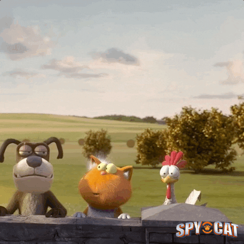 1597705588239.gif