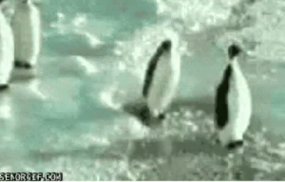 1598465239040.gif