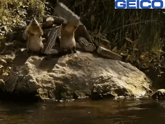 1600800837037.gif