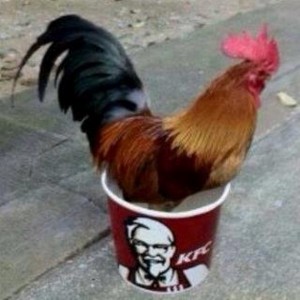 1602355171959.jpeg