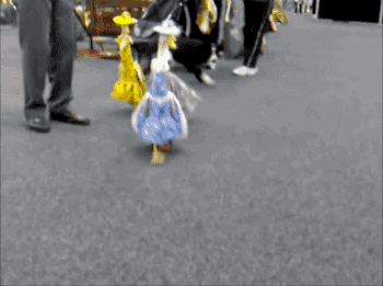 1603665414503.gif