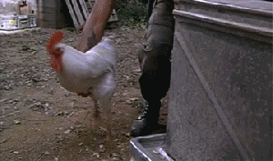 1604592557696.gif
