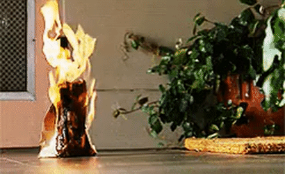 1604630307417-gif.11817