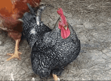 1605392905976.gif