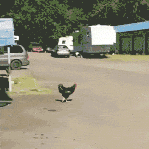 1605392989018.gif