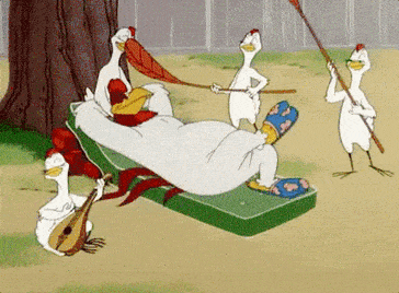 1609897940296.gif