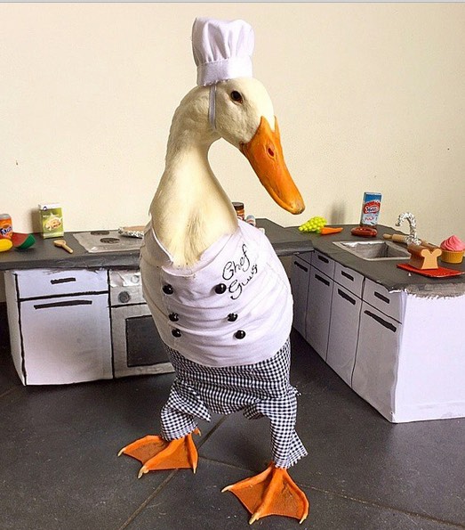 1610137766088.jpeg