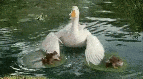 1610597522184.gif