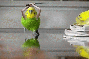 1610655955477.gif