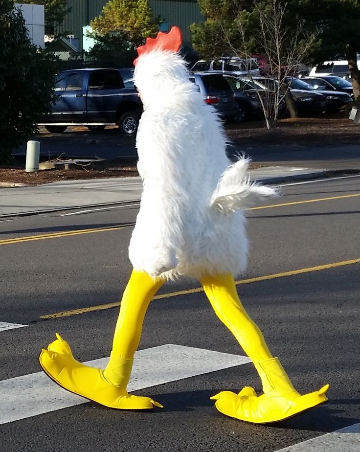1611088013547.jpeg