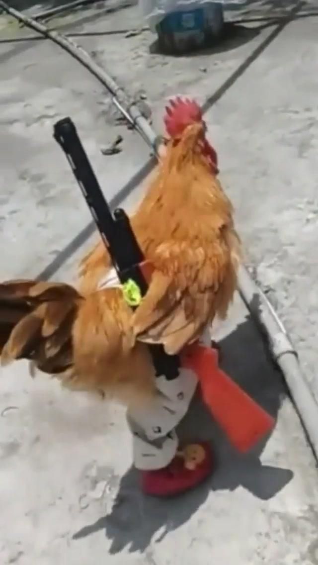 1611262722913.jpeg